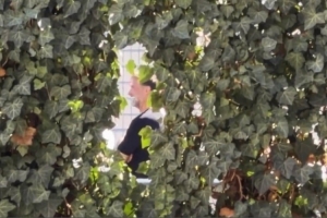 国家队vs德国直播_德甲高清免费观看_国家队vs德国比赛回放视频集锦